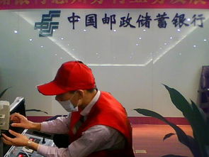 室內(nèi)空氣治理 清除甲醛 提供檢測(cè)服務(wù) 不達(dá)標(biāo)不收費(fèi)
