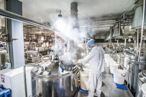 800年古方龜苓膏到底有啥魅力 鈦空好物推薦