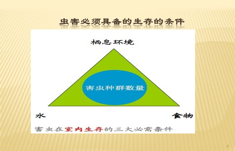 工廠蟲鼠害綜合防治方案ppt課件.ppt