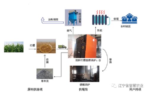 我省農(nóng)村人居環(huán)境整治技術(shù)服務(wù)與提升項(xiàng)目順利完工