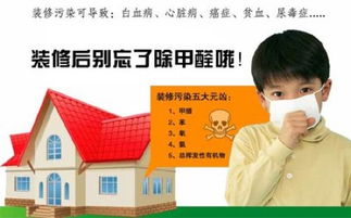 江西南昌除甲醛公司選什么公司好