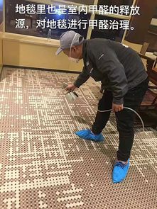 專業(yè)室內環(huán)境治理來電咨詢 鑫佳源供應