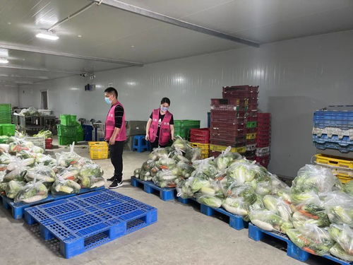 從十幾元到五六十元,上海奉賢為封閉管理小區(qū)配送農(nóng)產(chǎn)品套餐