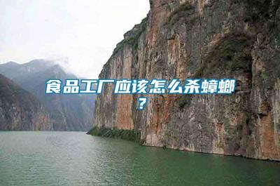 食品工廠應(yīng)該怎么殺蟑螂?