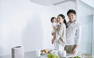 室內(nèi)空氣治理流程 給你一個(gè)空氣清新的環(huán)境